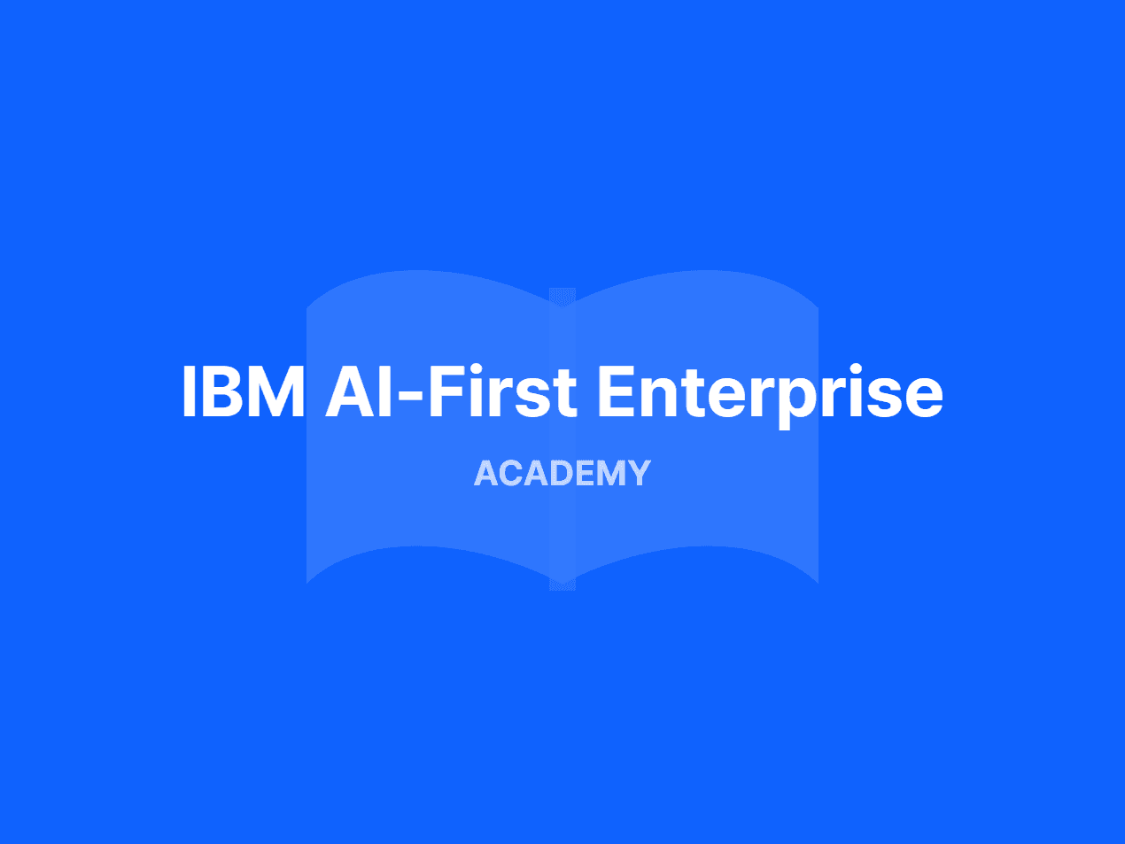 IBM 대중소상생 아카데미의 모든 것