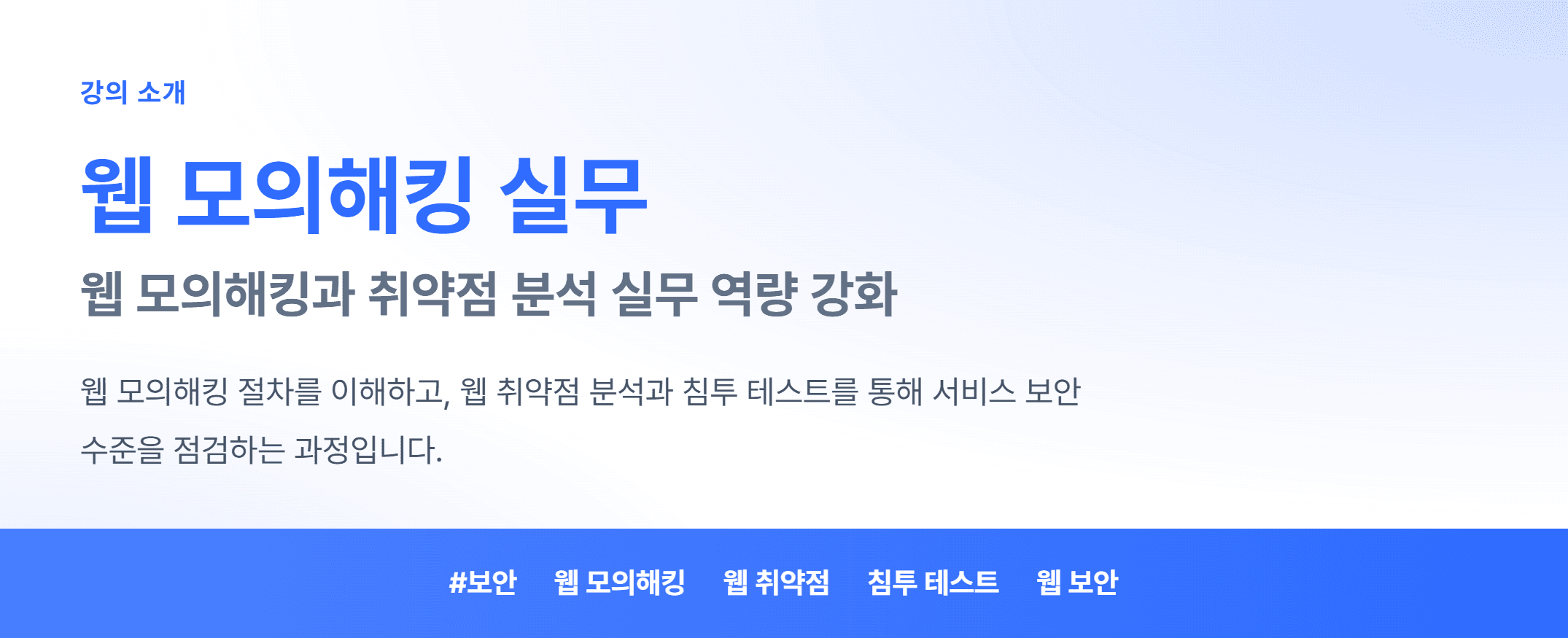 웹 모의해킹 실무_01.webp
