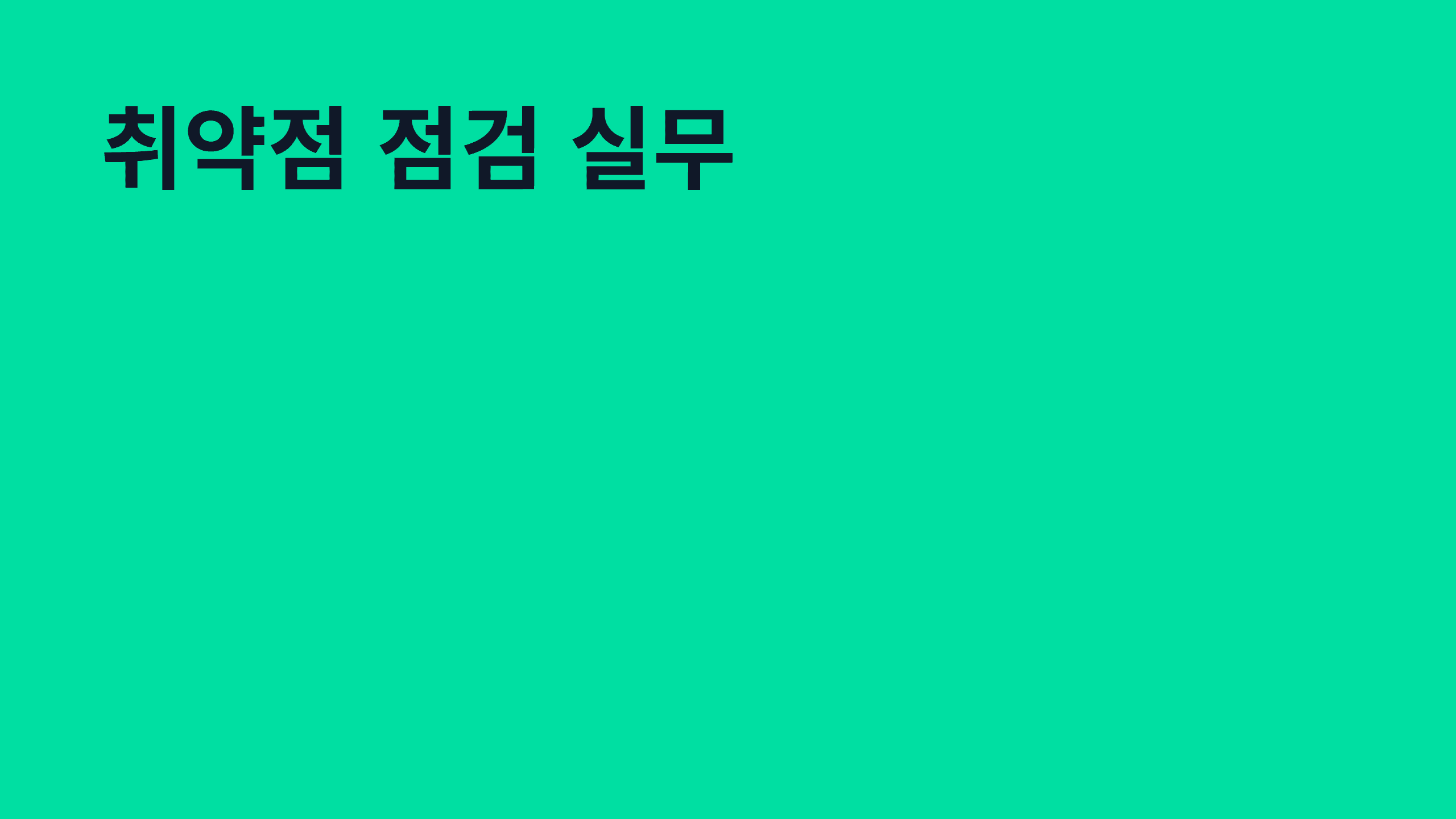 취약점 점검 실무
